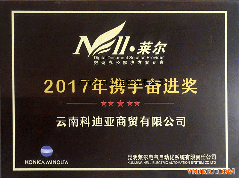 莱尔2017年携手奋进奖