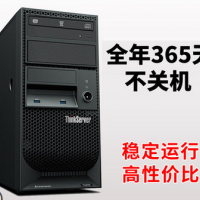 联想服务器主机ThinkServer TS250 E3-1225V6 i3-7100 G4560 4G/500G