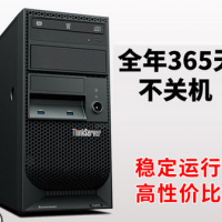 联想服务器主机ThinkServer TS250 E3-1225V6 i3-7100 G4560 8G/500G*2